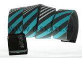 Pásek Rip Curl Sriped Webbing